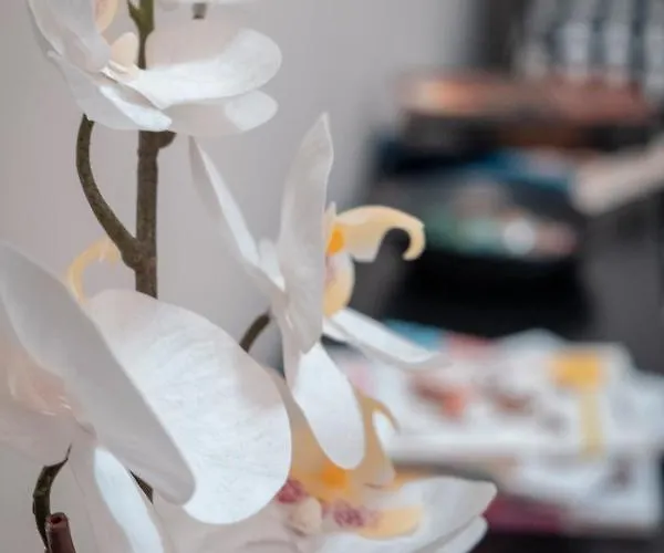 Bed and Breakfast Civico 8 - Πάρμα